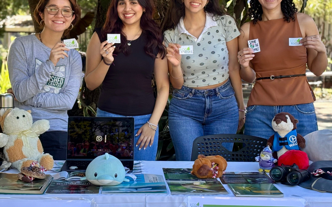 Reconocimiento del Ministerio de Medio Ambiente a UJMD Sostenible